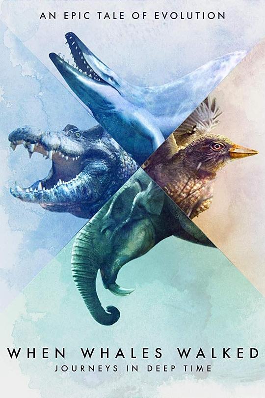 鲸鱼行走的时代：深时之旅