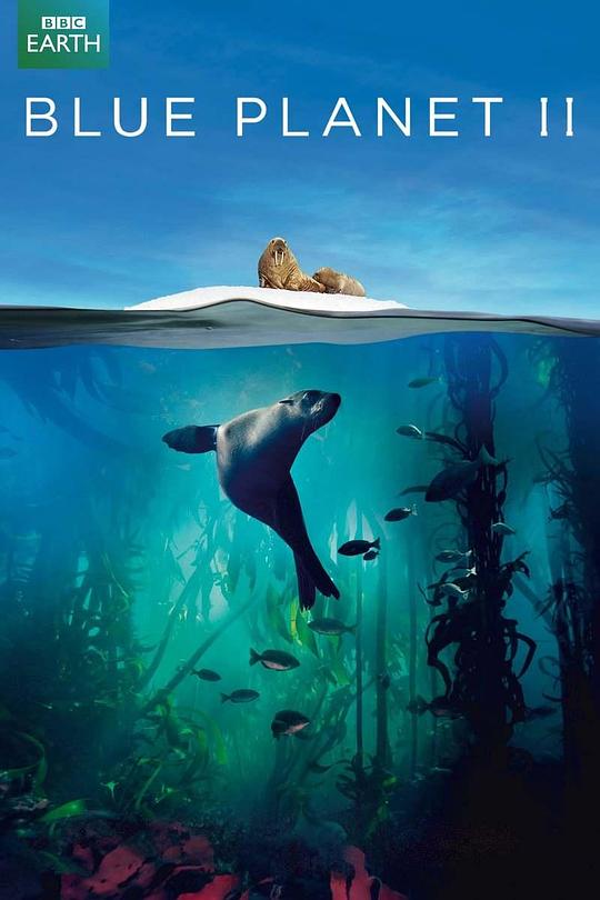 蓝色星球 第二季