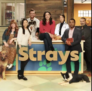 Strays Season 1