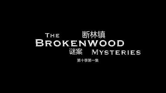 断林镇谜案 第十季