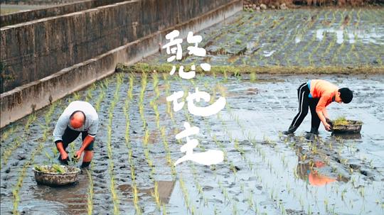 憨地主