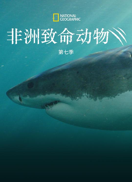 非洲致命动物 第七季