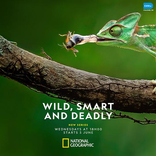 Wild, Smart and Deadly Season 1