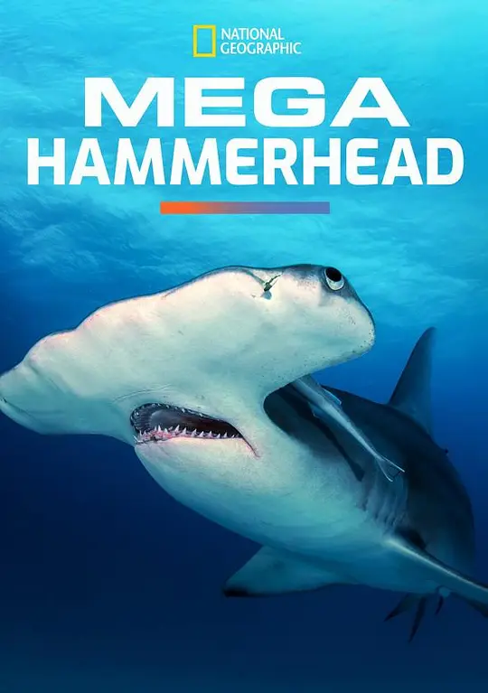 Mega Hammerhead