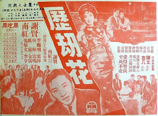 历劫花