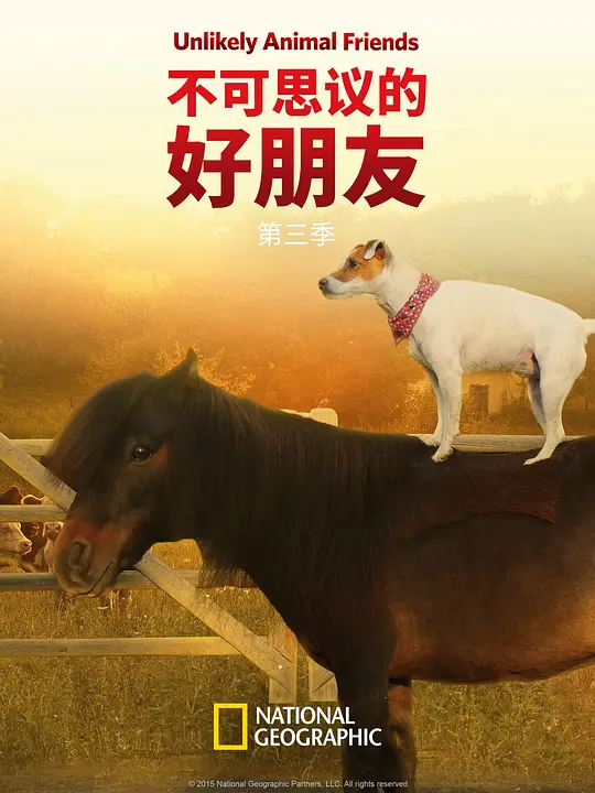 不可思议的好朋友 第三季