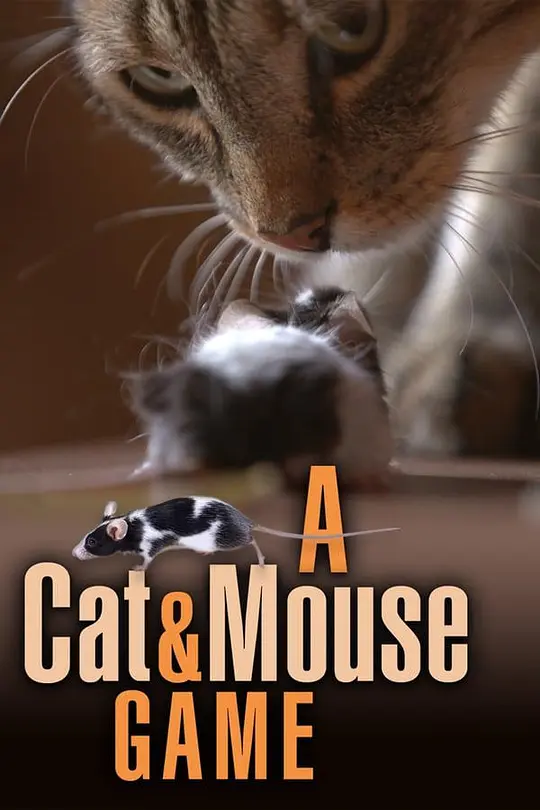 猫鼠游戏