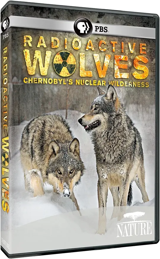 PBS大自然之受核辐射的狼群